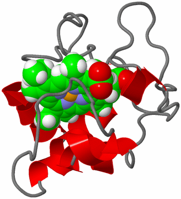 Image NMR Structure - model 1