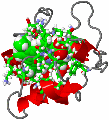 Image NMR Structure - model 1, sites