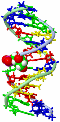 Image NMR Structure - model 1