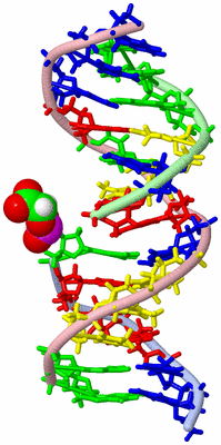 Image NMR Structure - model 1