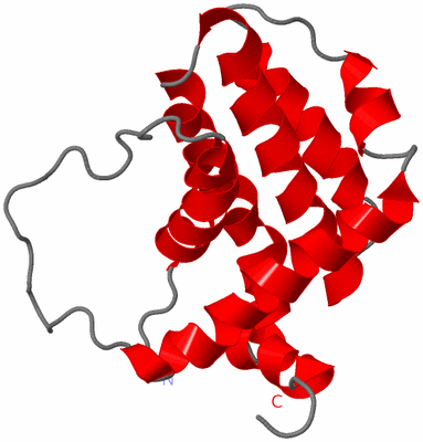 Image NMR Structure - model 1