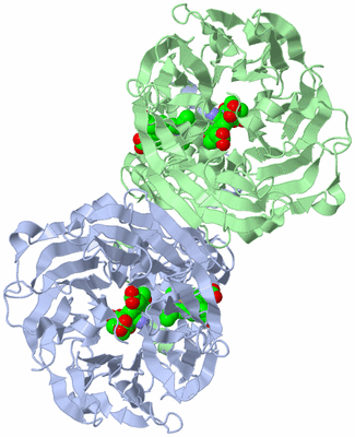 Image Asym./Biol. Unit
