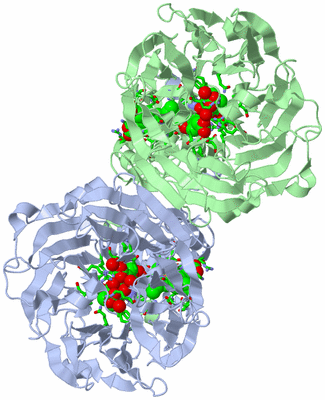Image Asym./Biol. Unit - sites