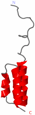 Image NMR Structure - model 1