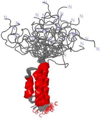 Image NMR Structure - all models