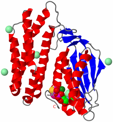 Image Asym./Biol. Unit