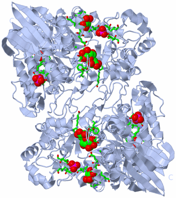 Image Biol. Unit 1 - sites