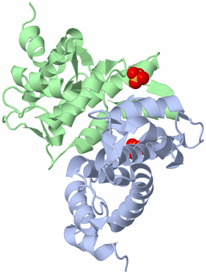 Image Biological Unit 1