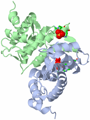 Image Biol. Unit 1 - sites