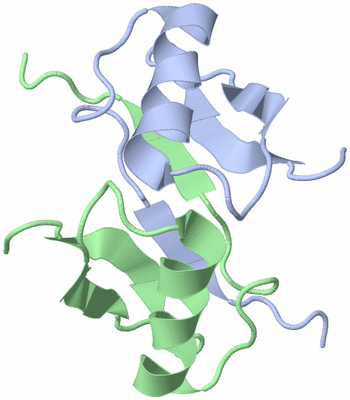 Image NMR Structure - model 1