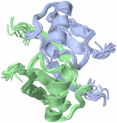 Image NMR Structure - all models