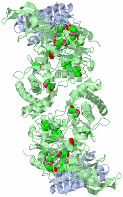 Image Biological Unit 1