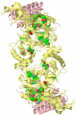 Image Biological Unit 2