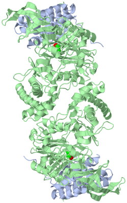 Image Biological Unit 1