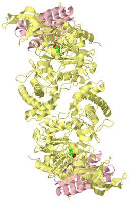 Image Biological Unit 2