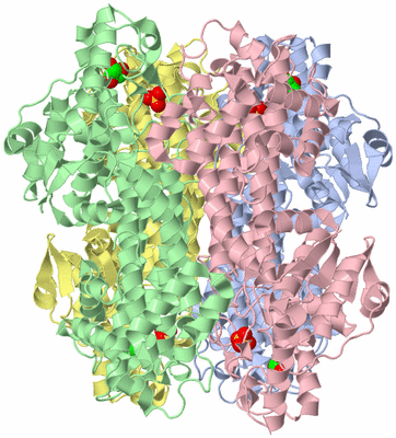 Image Asym./Biol. Unit