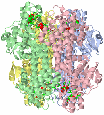 Image Asym./Biol. Unit - sites