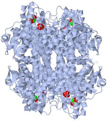 Image Biological Unit 1