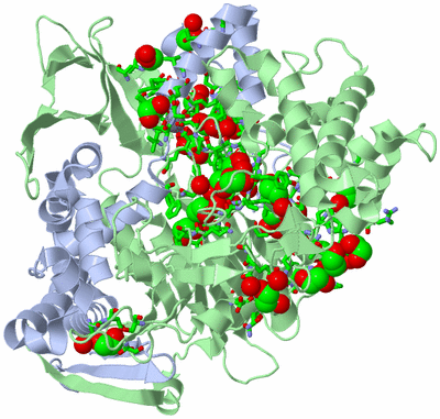 Image Asym./Biol. Unit - sites