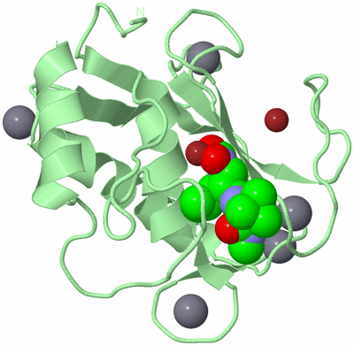 Image Biological Unit 2