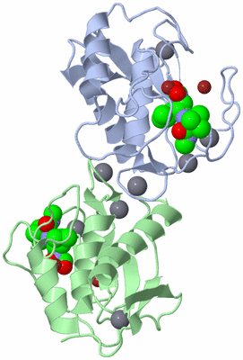 Image Asym./Biol. Unit