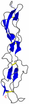 Image NMR Structure - model 1