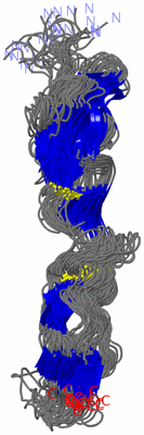 Image NMR Structure - all models