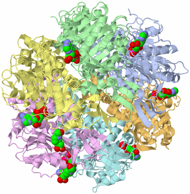 Image Asym./Biol. Unit