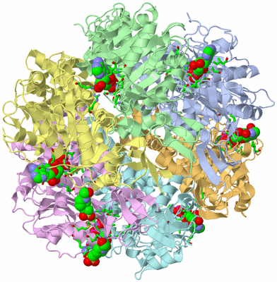 Image Asym./Biol. Unit - sites