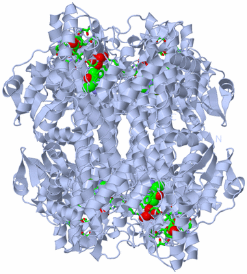 Image Biol. Unit 1 - sites