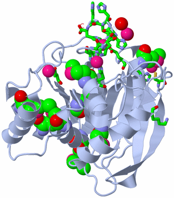 Image Biol. Unit 1 - sites