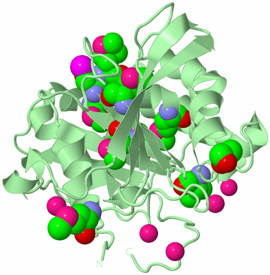 Image Biological Unit 2