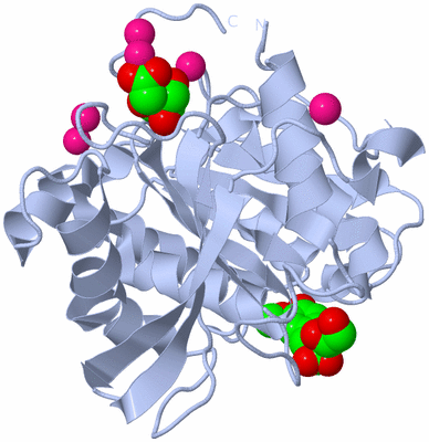 Image Biological Unit 1