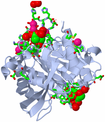 Image Biol. Unit 1 - sites