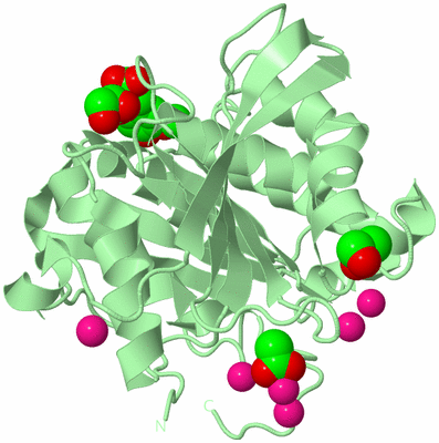 Image Biological Unit 2