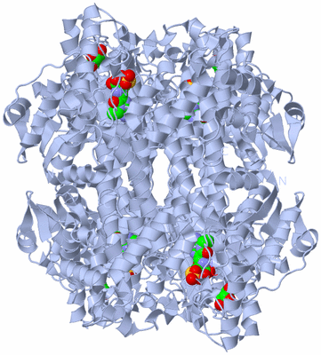 Image Biological Unit 1