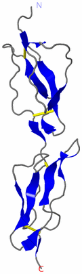 Image NMR Structure - model 1