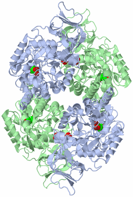 Image Biological Unit 1