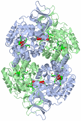 Image Biol. Unit 1 - sites