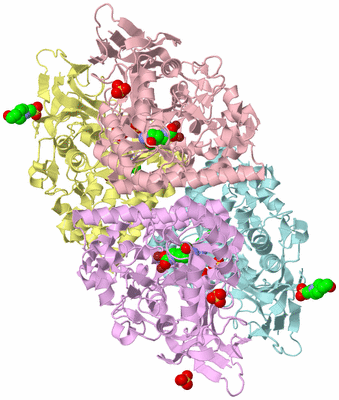 Image Biological Unit 2