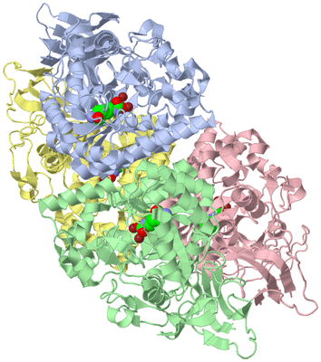 Image Asym./Biol. Unit