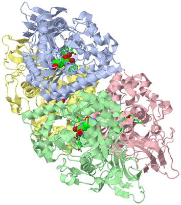 Image Asym./Biol. Unit - sites