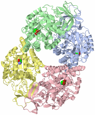 Image Asym./Biol. Unit