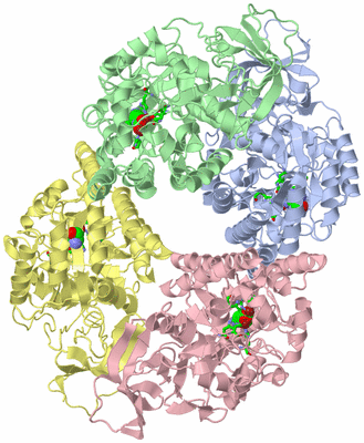 Image Asym./Biol. Unit - sites