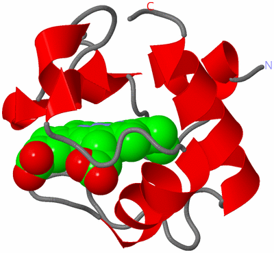 Image NMR Structure - model 1