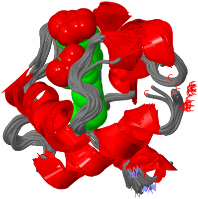 Image NMR Structure - all models