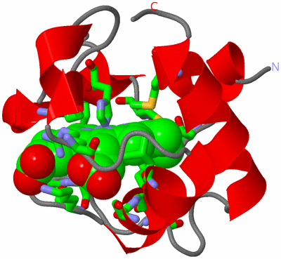 Image NMR Structure - model 1, sites