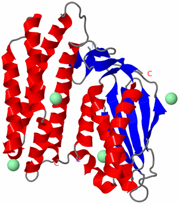 Image Asym./Biol. Unit