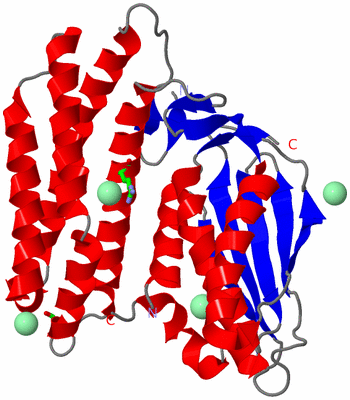 Image Asym./Biol. Unit - sites