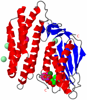 Image Asym./Biol. Unit
